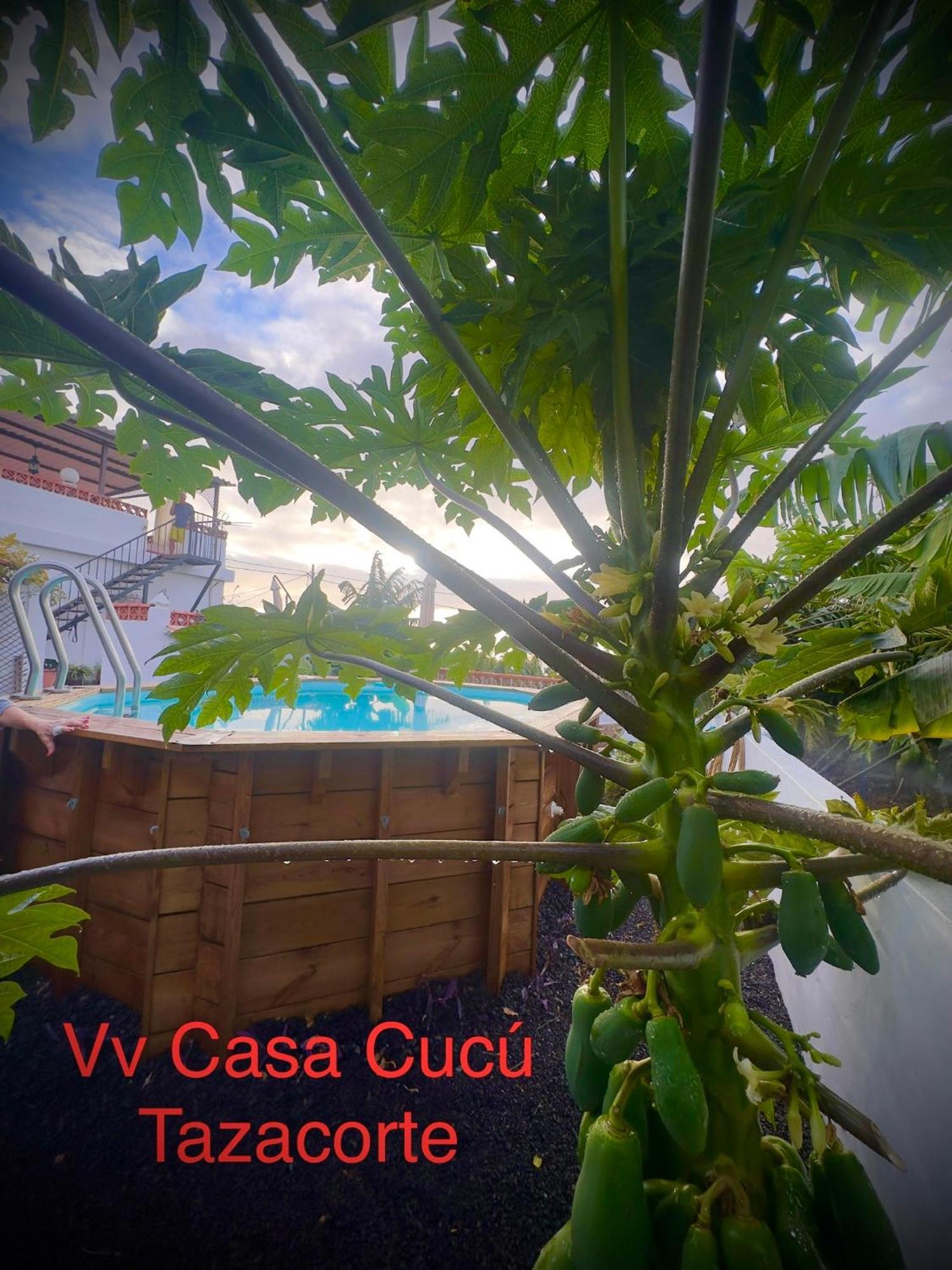 Casa Cucu Villa Tazacorte Buitenkant foto